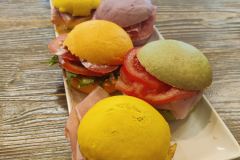 PANINI-Copia