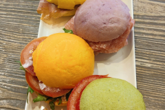 PANINI2-Copia